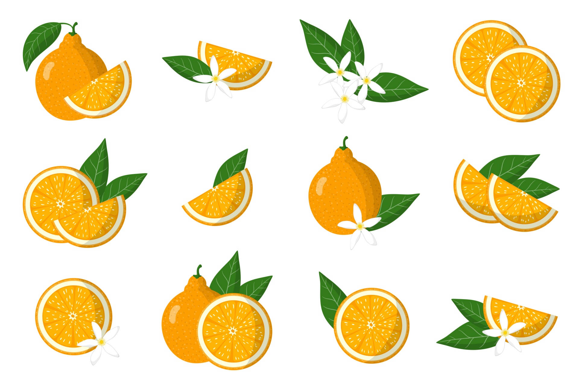 Tangelo Fruits Animation Background