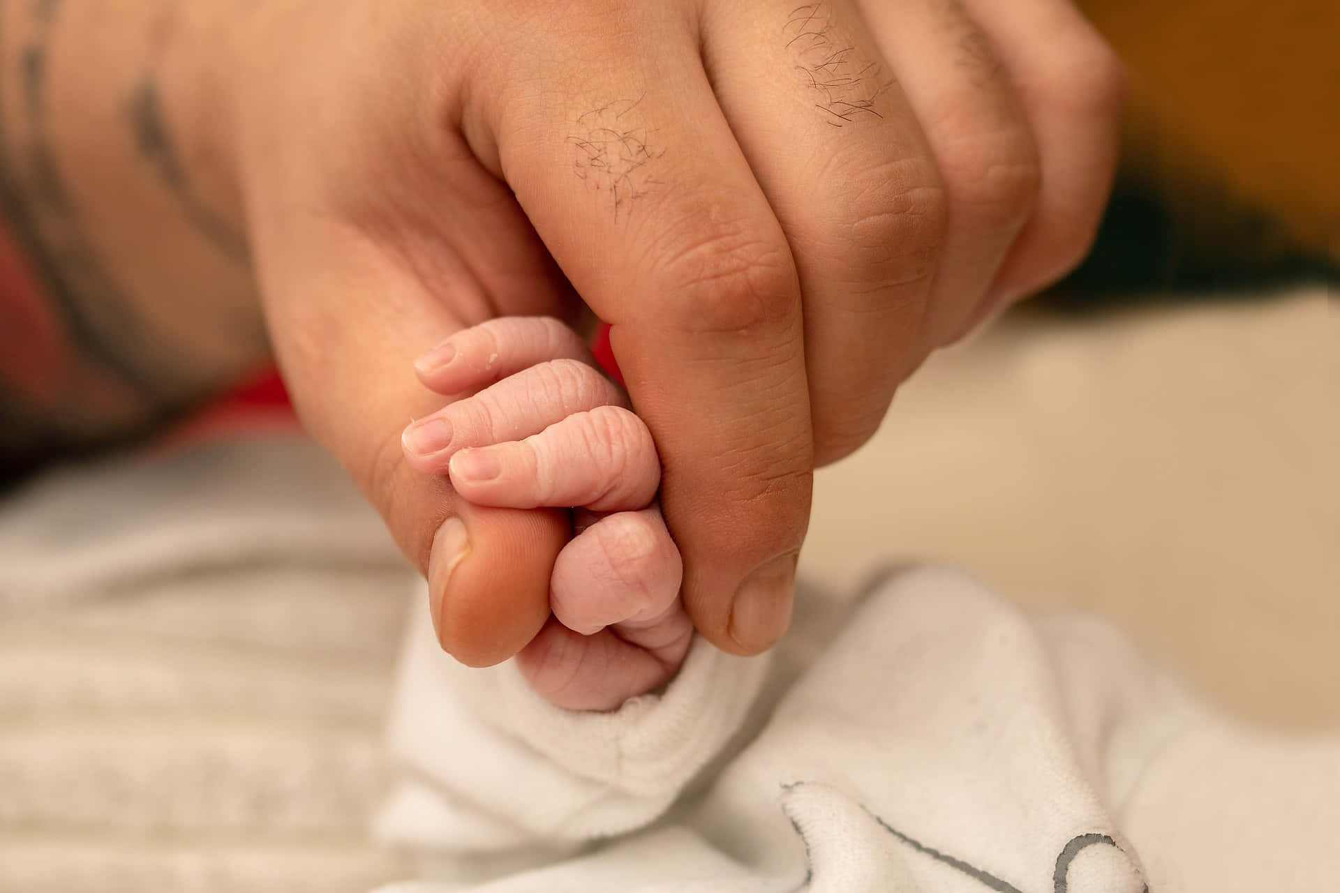 Tangible Touching Of Hand Of A Parent To The Little Hand Of Baby Background
