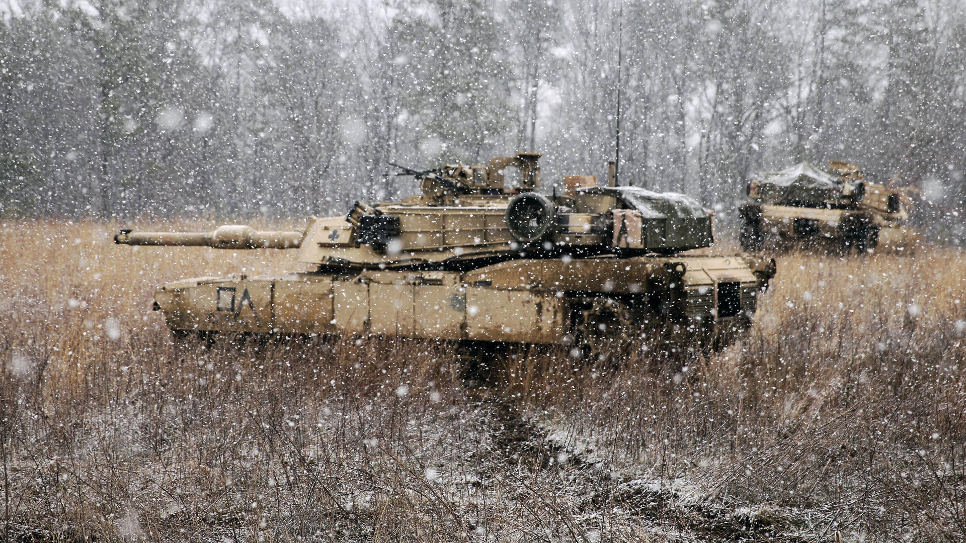 Tanks For Army In The Forest Background