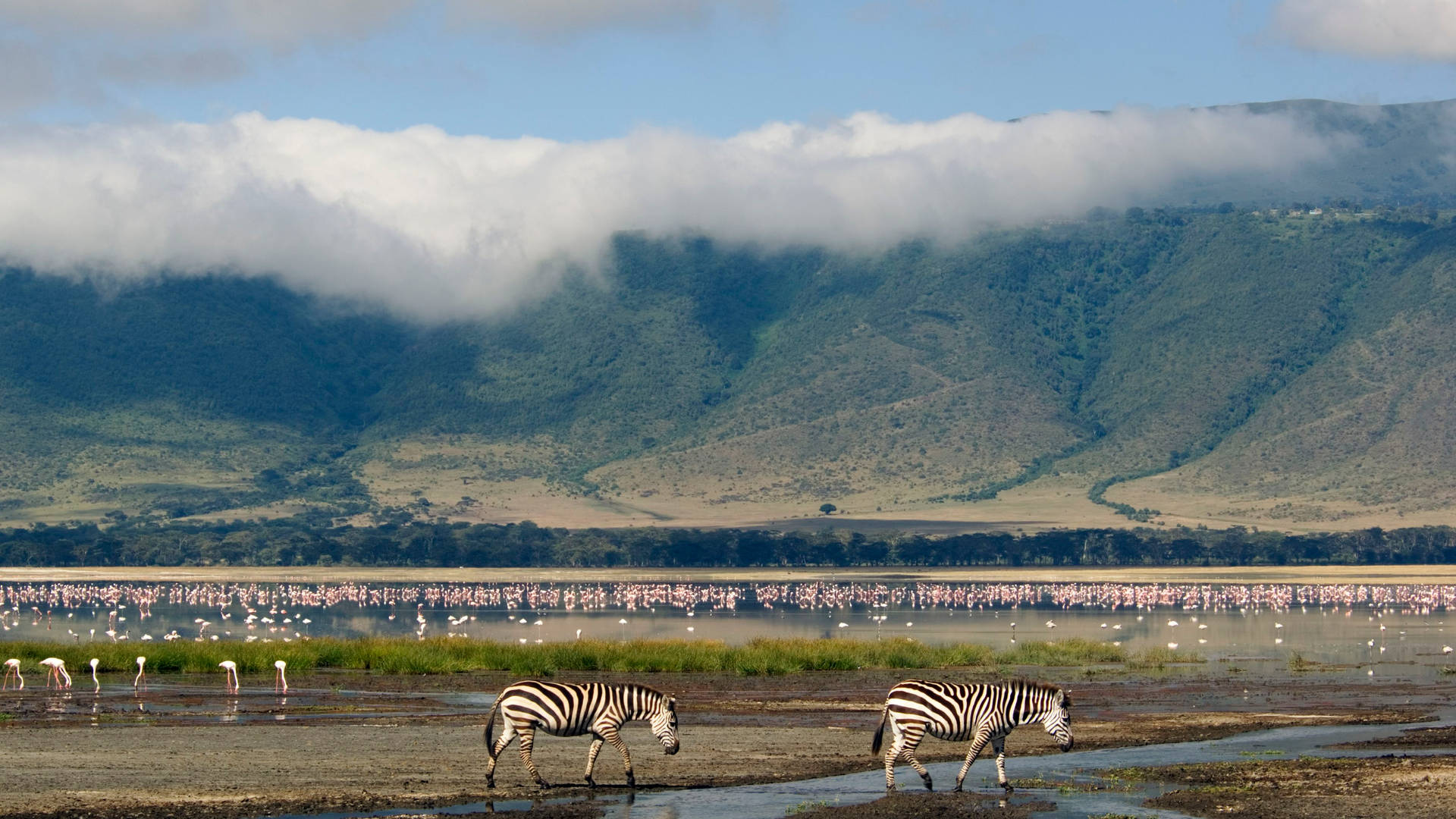 Tanzania Ngorongoro Conservation Area Background