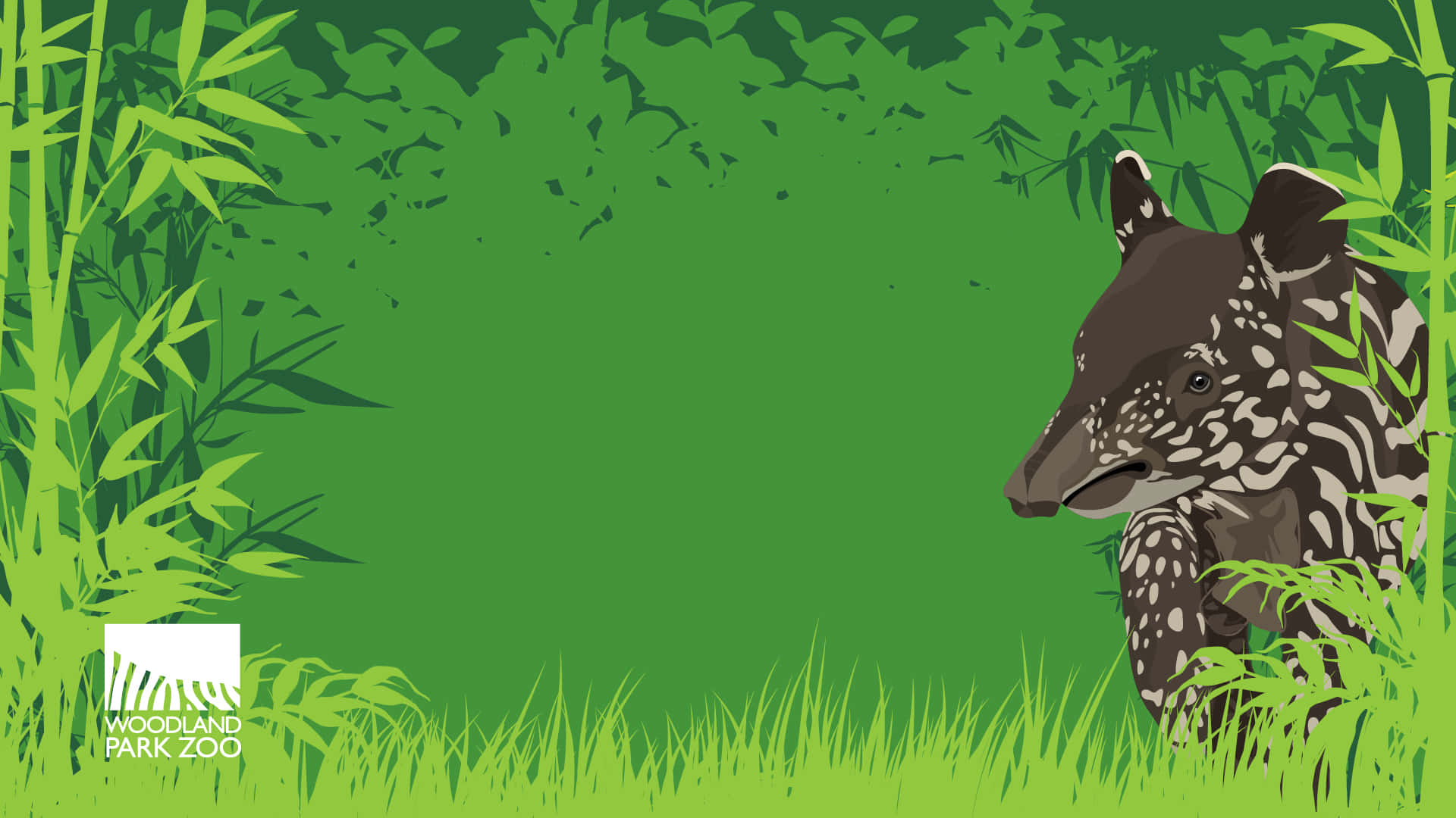 Tapir Art By Woodland Zoo Background