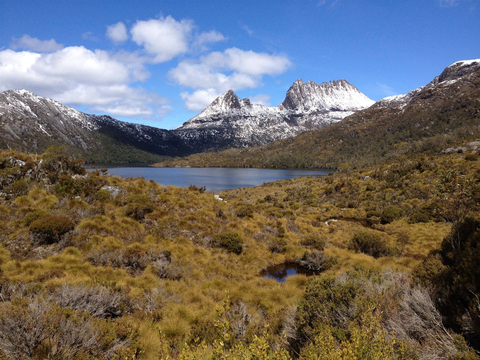 Tasmania Cradle Mountain Small Lake Background