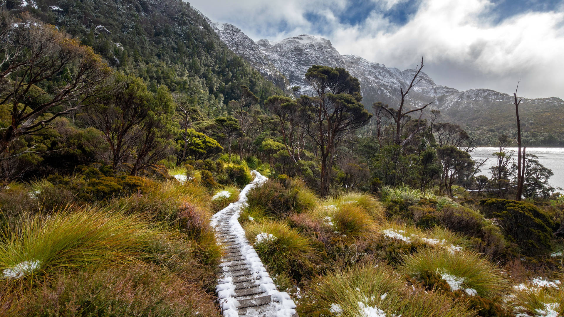 Tasmania Cradle Mountain Background