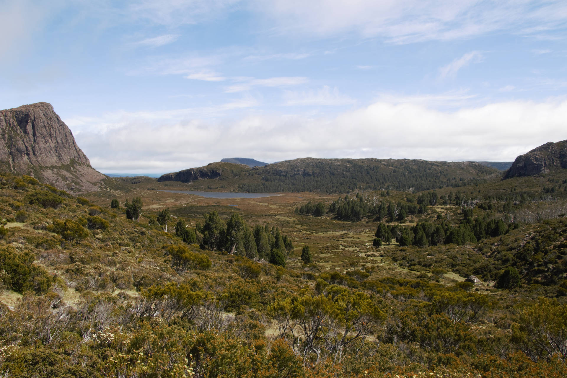 Tasmania Dry Forests