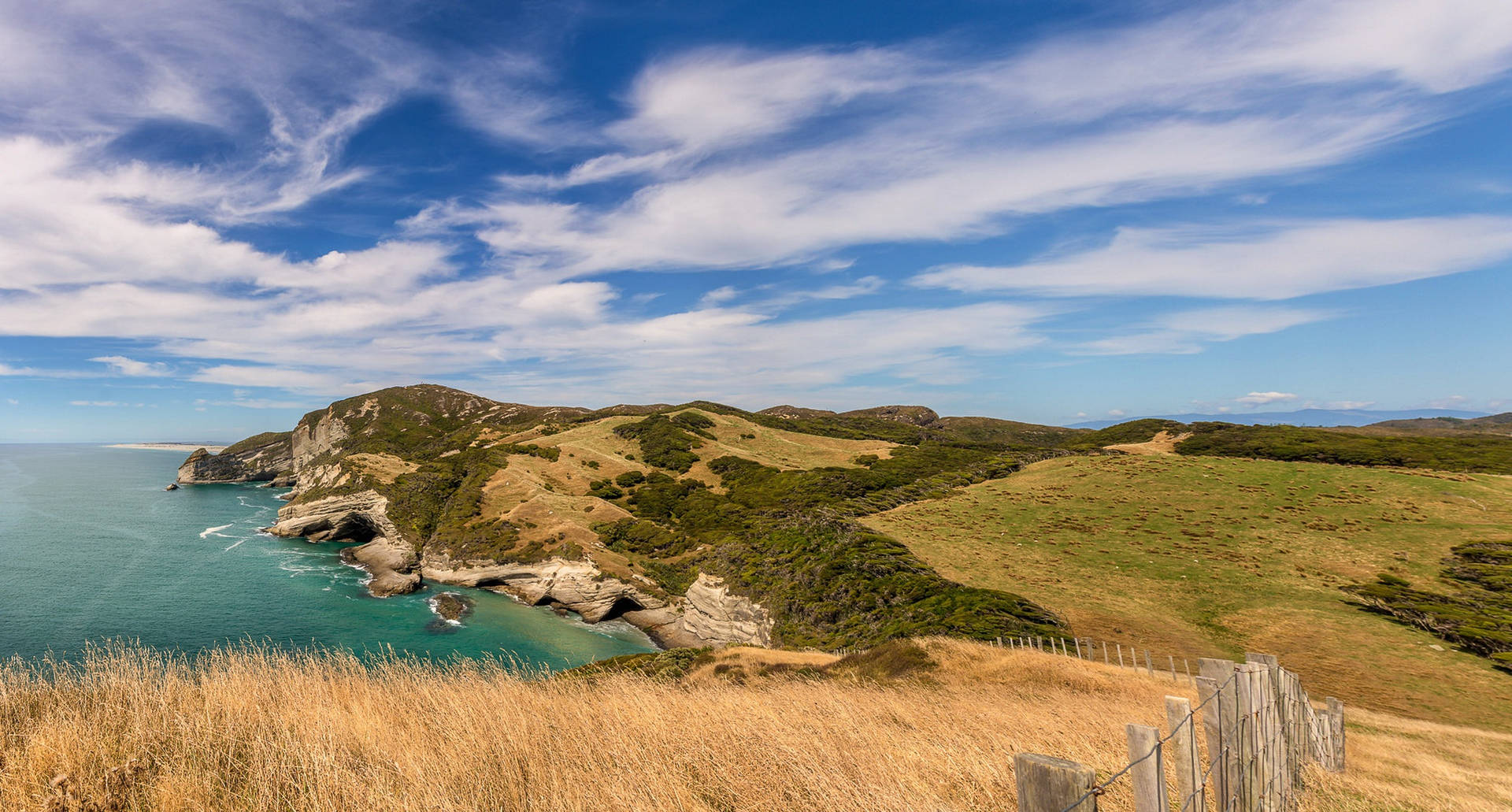 Tasmania Grassy Sea Background