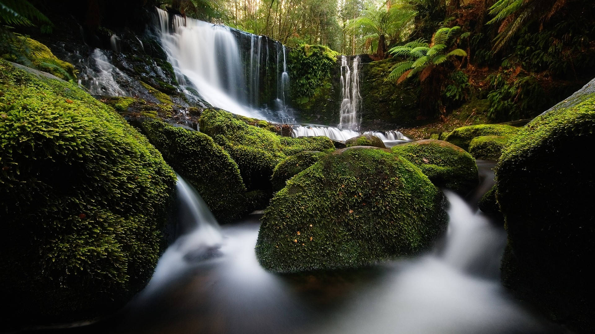 Tasmania Horseshoe Falls Background