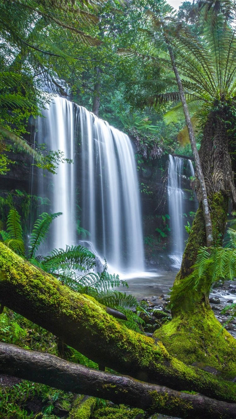 Tasmania Mount Field Waterfalls Background