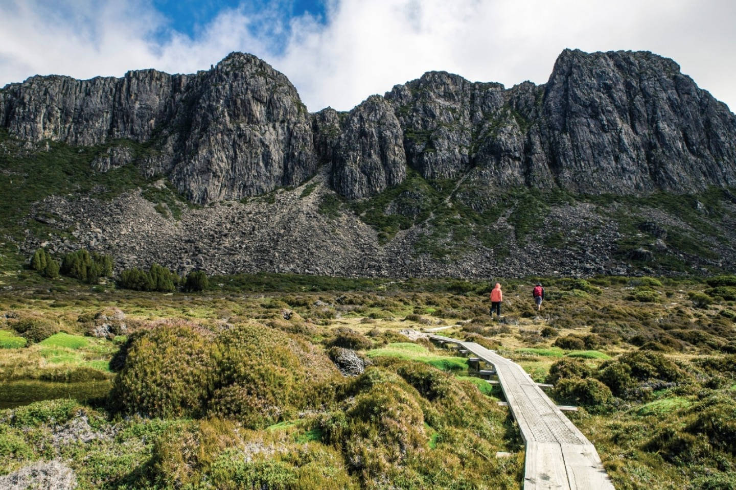 Tasmania Path Rocky Mountain Background