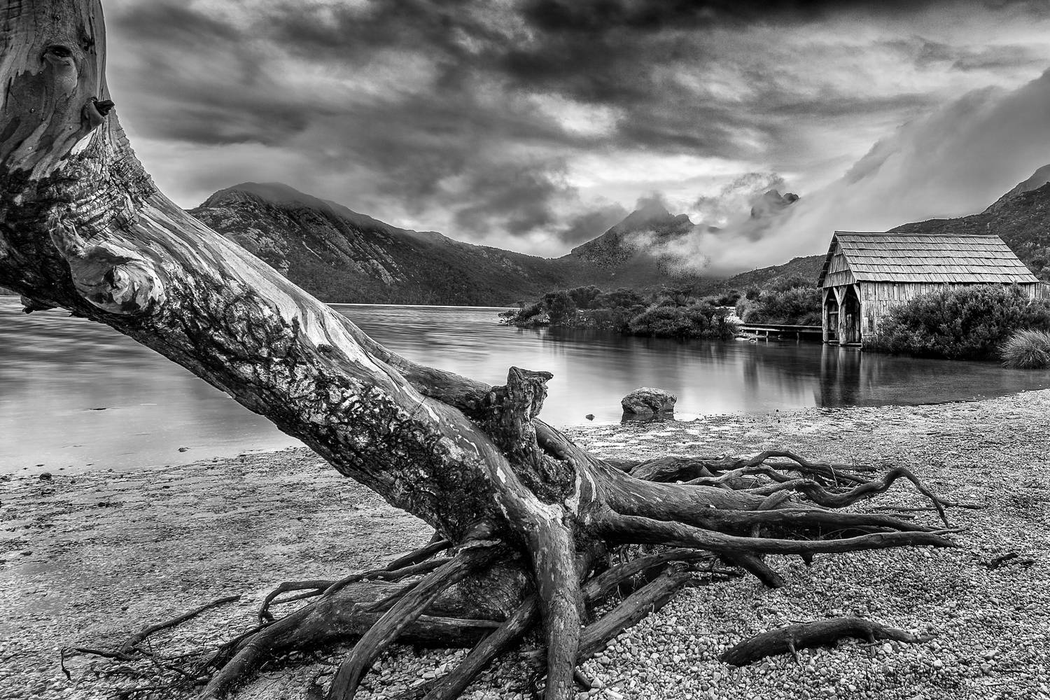 Tasmania Shed Lake Monochrome Background