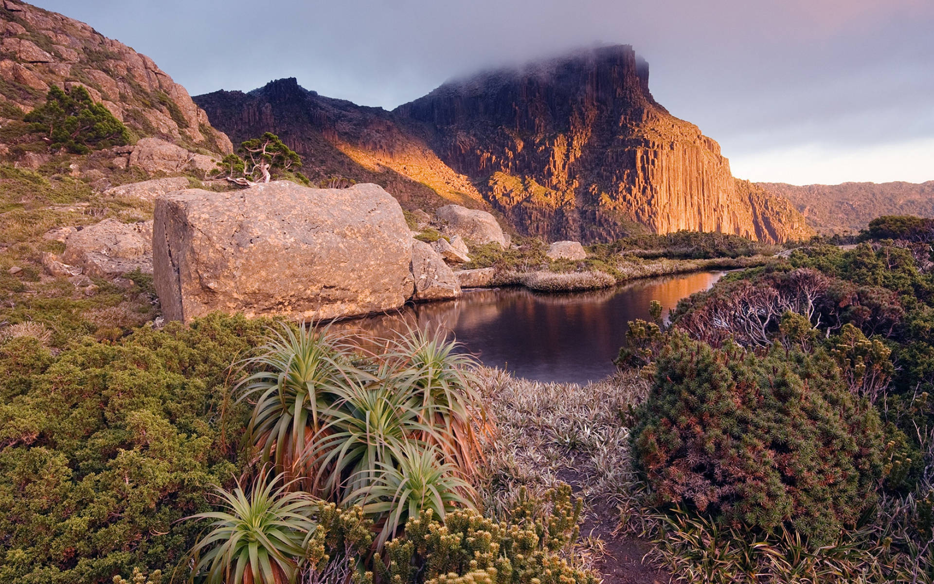 Tasmania Small Pond Mountains Background