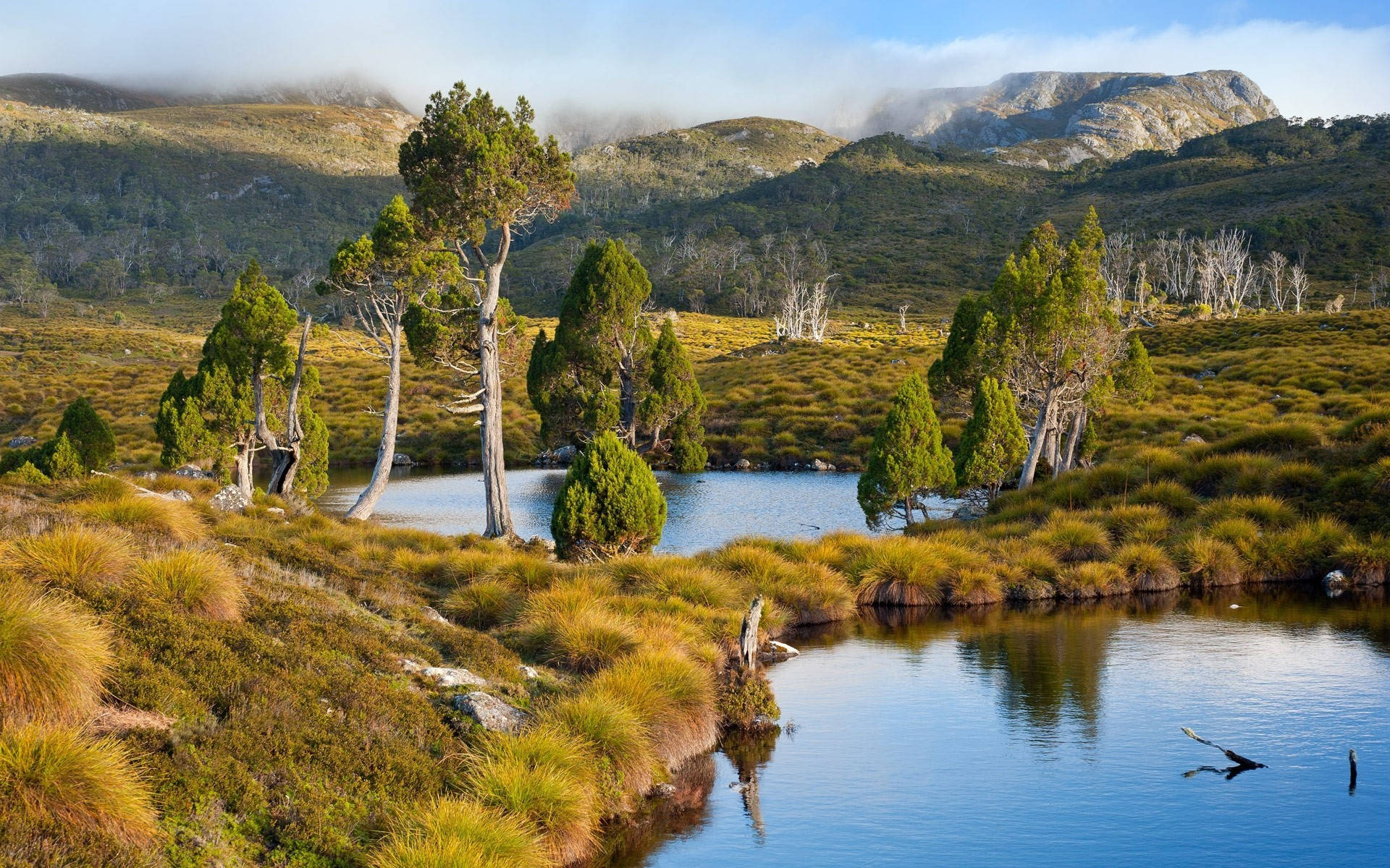 Tasmania Two Ponds