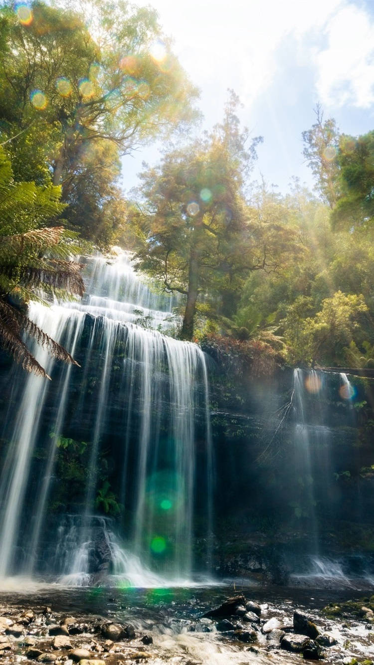 Tasmania Waterfalls Background