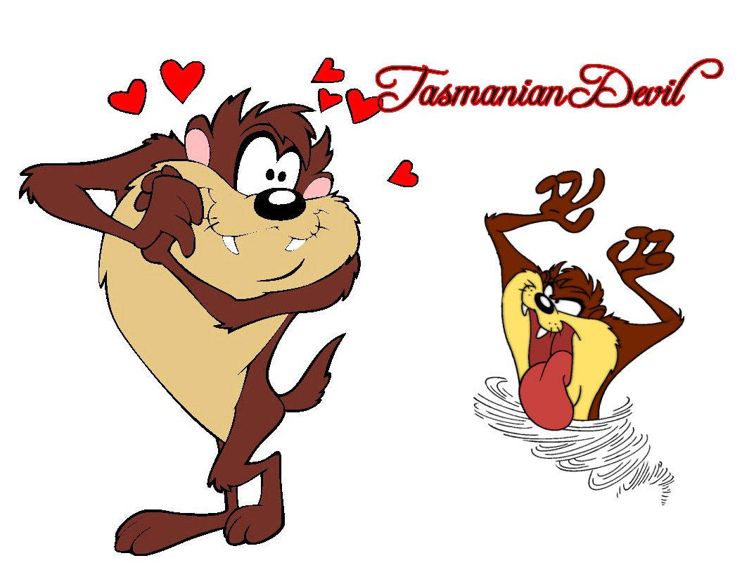 Tasmanian Devil Taz Disney Background