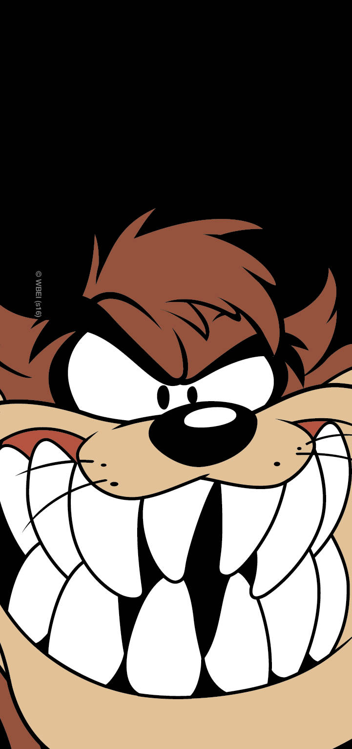 Tasmanian Devil Taz Looney Tunes Background