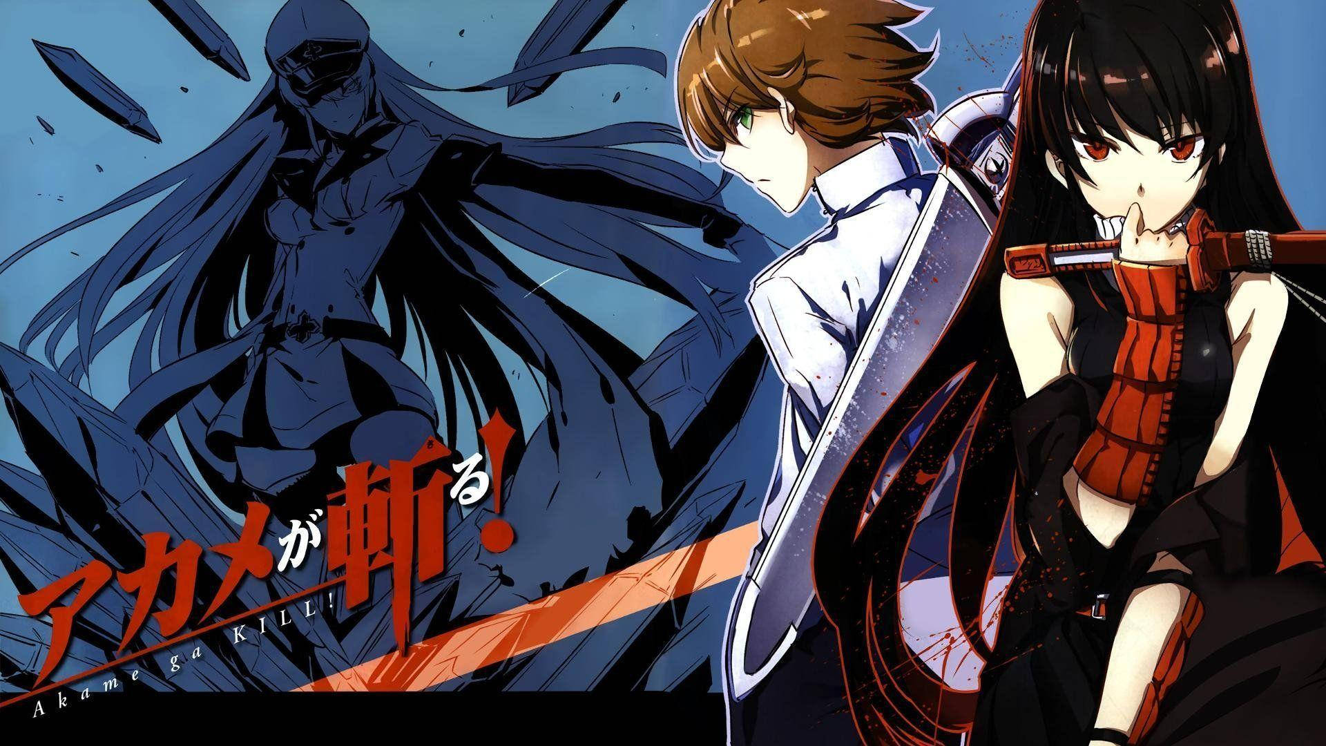 Tatsumi, Akame, And Esdeath Background
