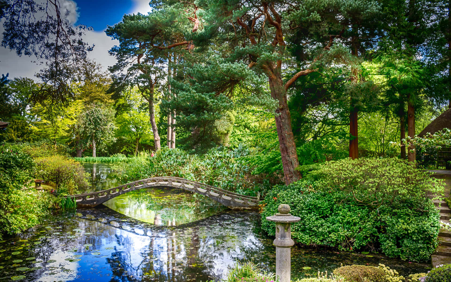 Tatton Park Garden Bridge Shrubs Background