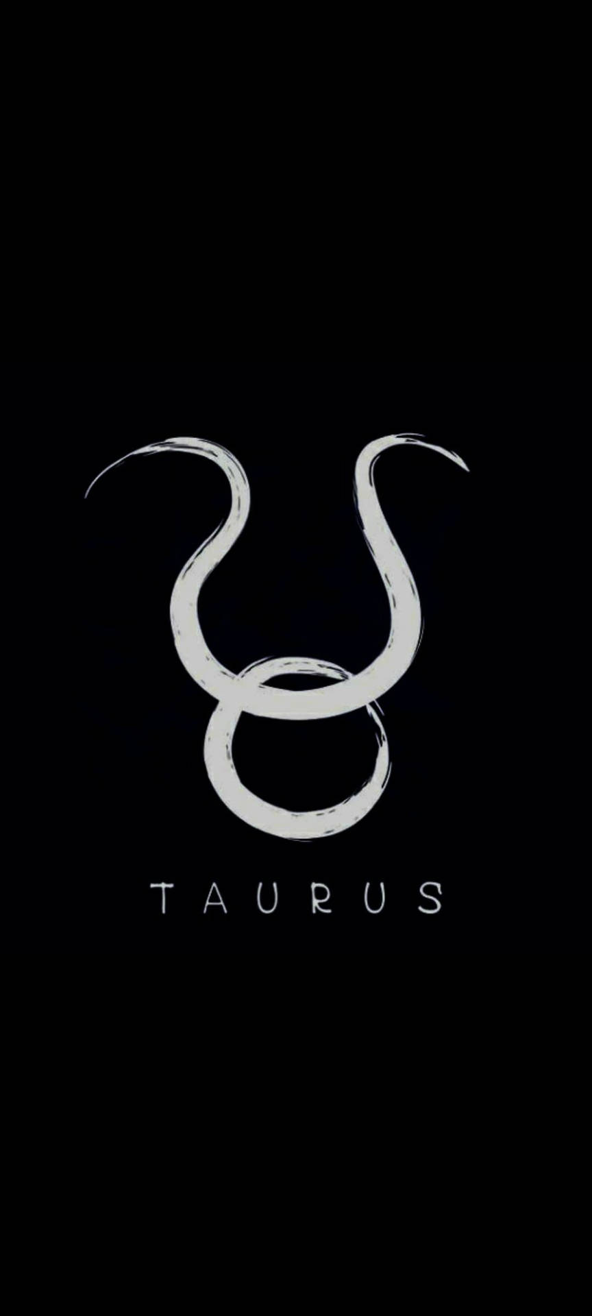 Taurus Gray Symbol Brush