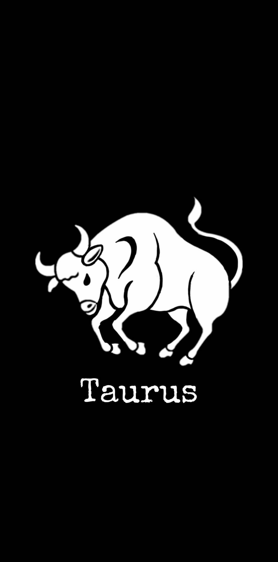 Taurus White Bull Background