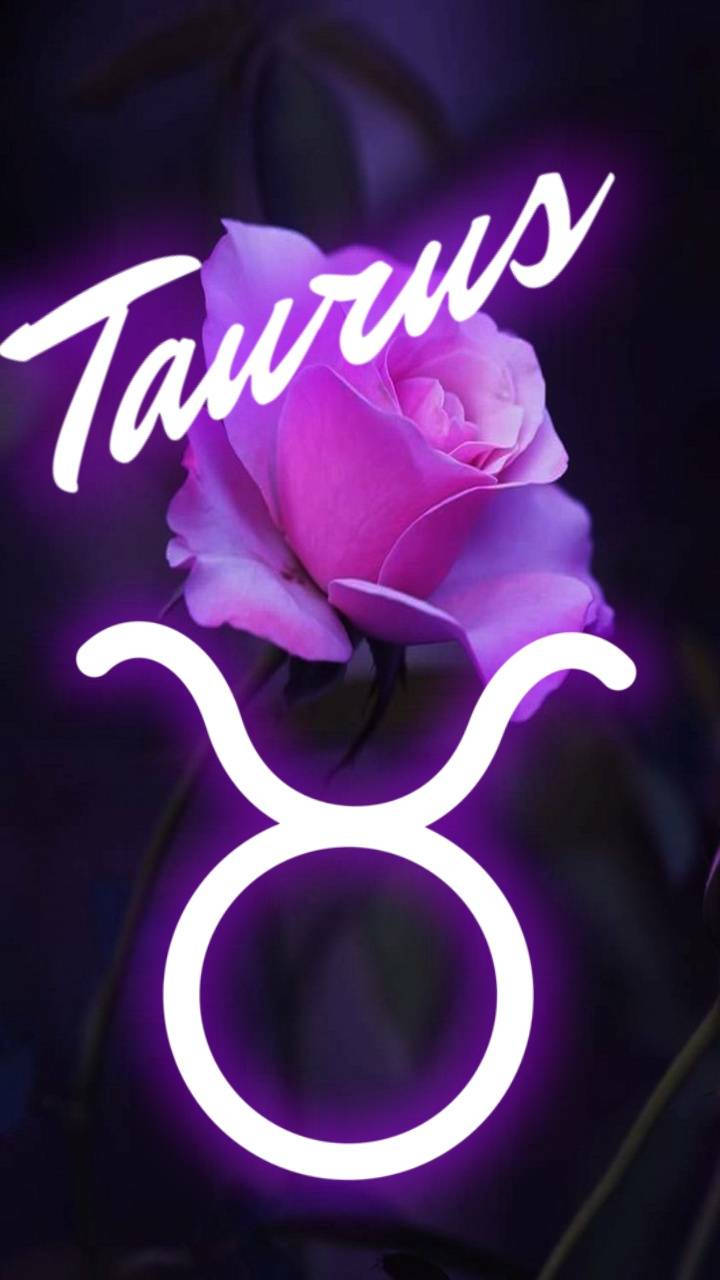 Taurus Zodiac Rose Background