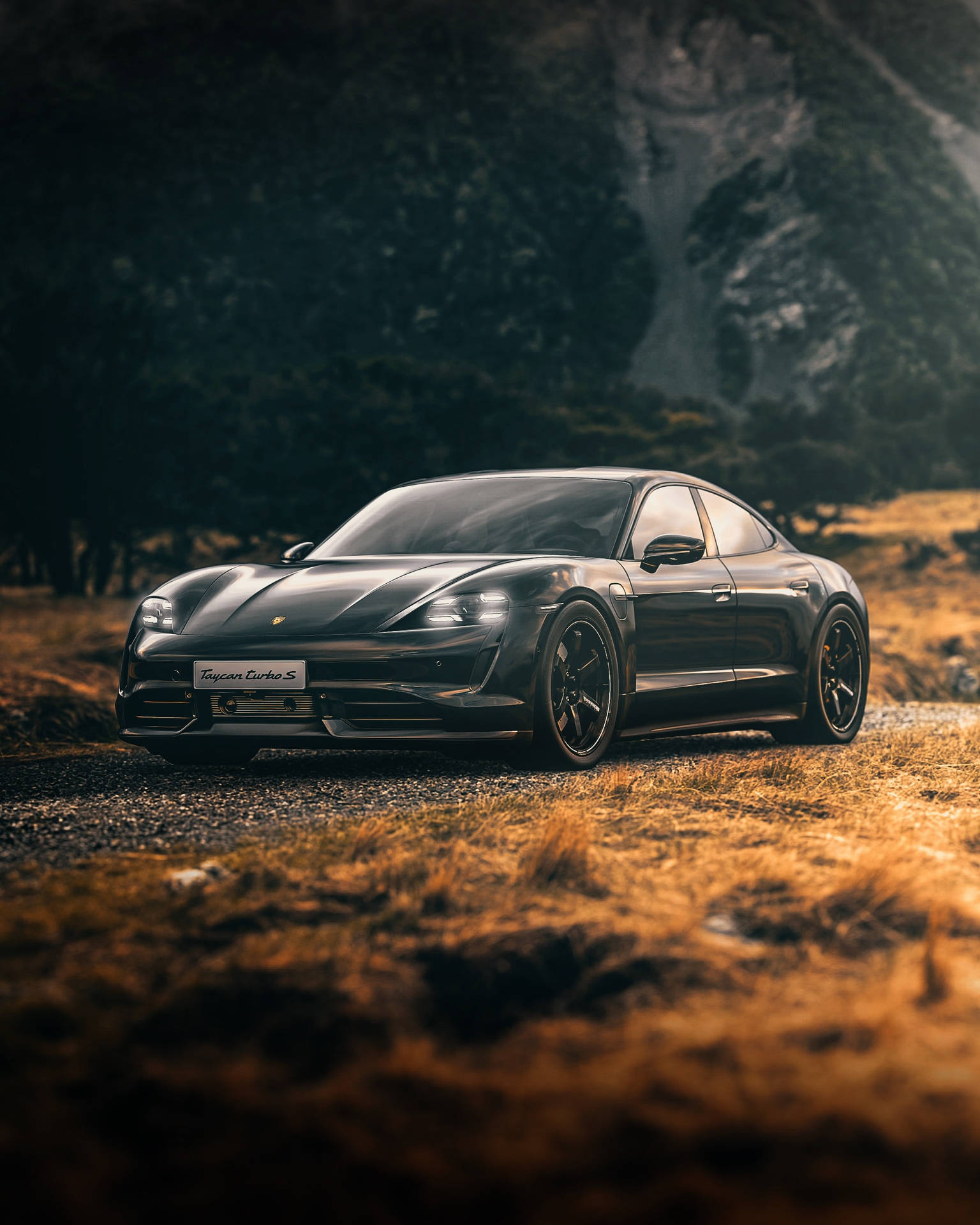 Taycan Turbo S Car In Nature Background