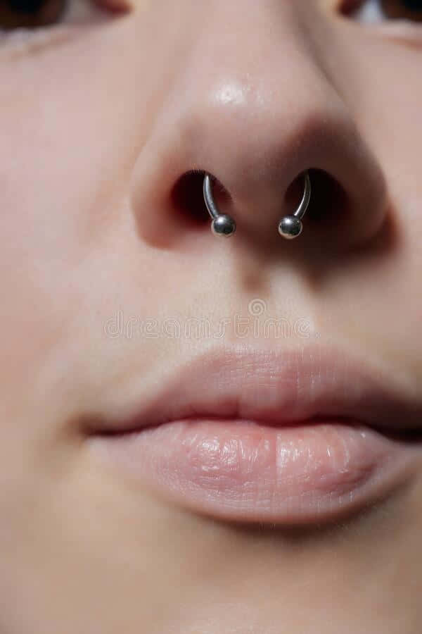 Taylor Ink Septum Piercing Healing