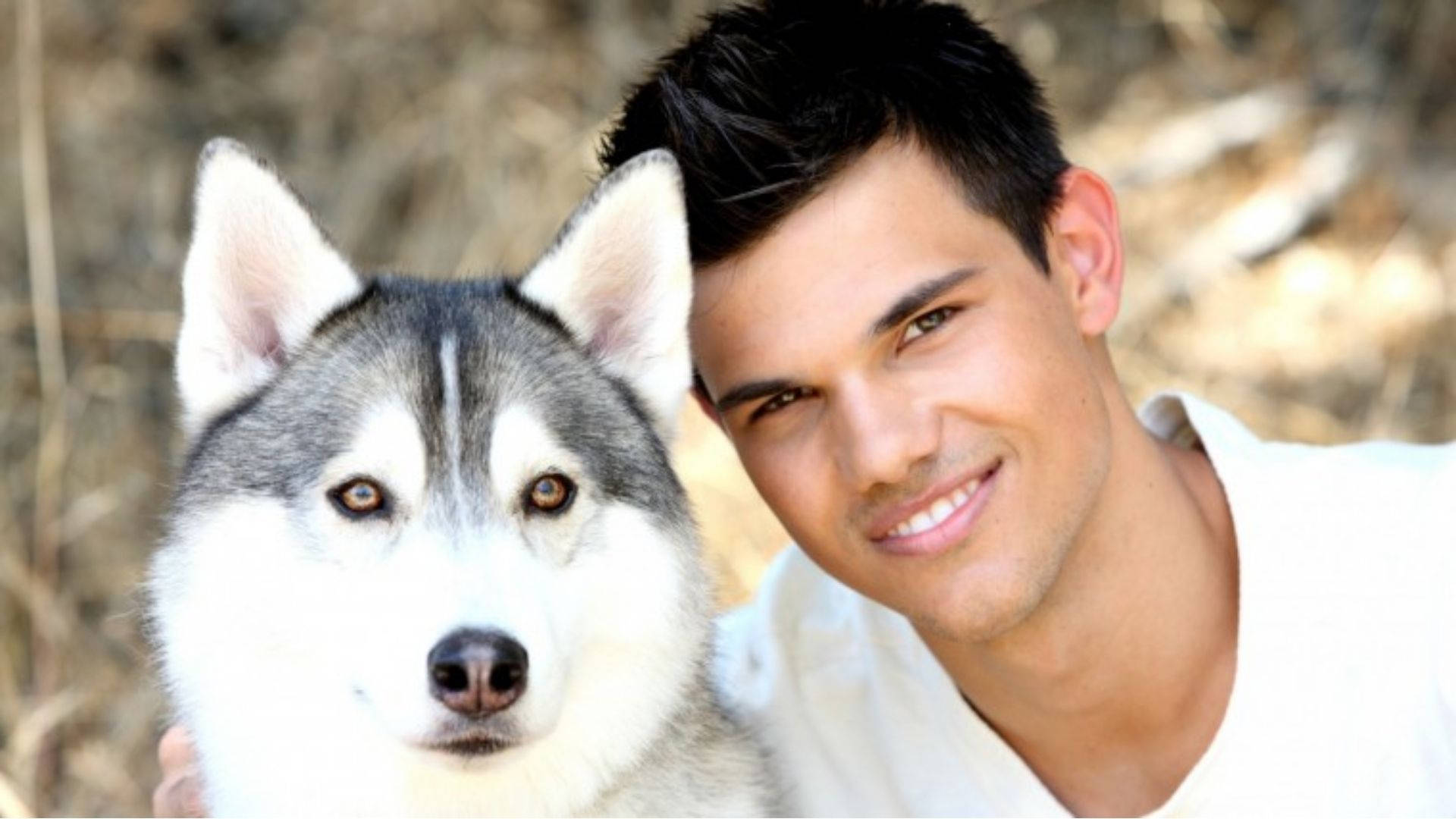 Taylor Lautner With Husky Background