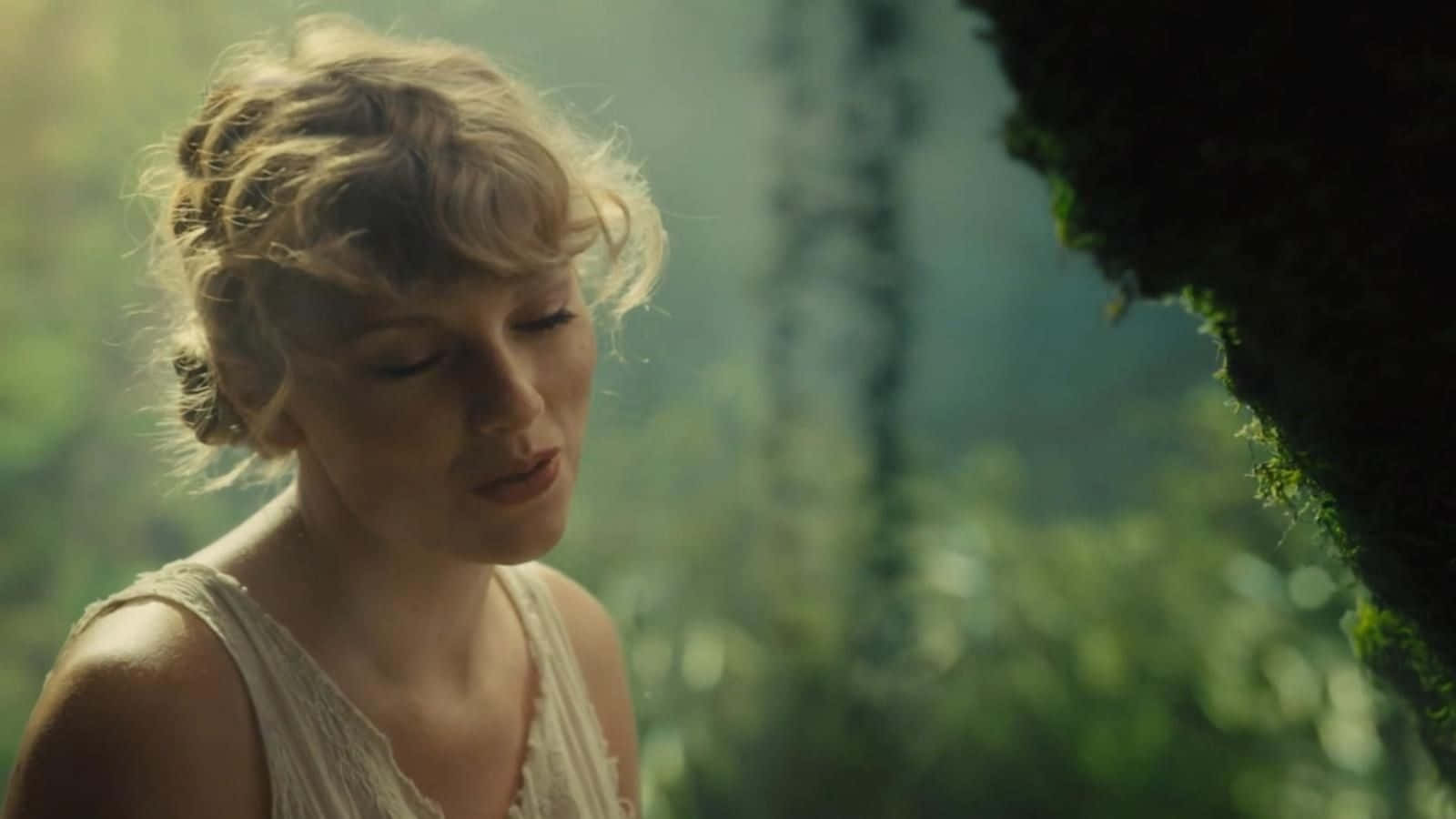 Taylor Swift Folklore Cardigan Song Background