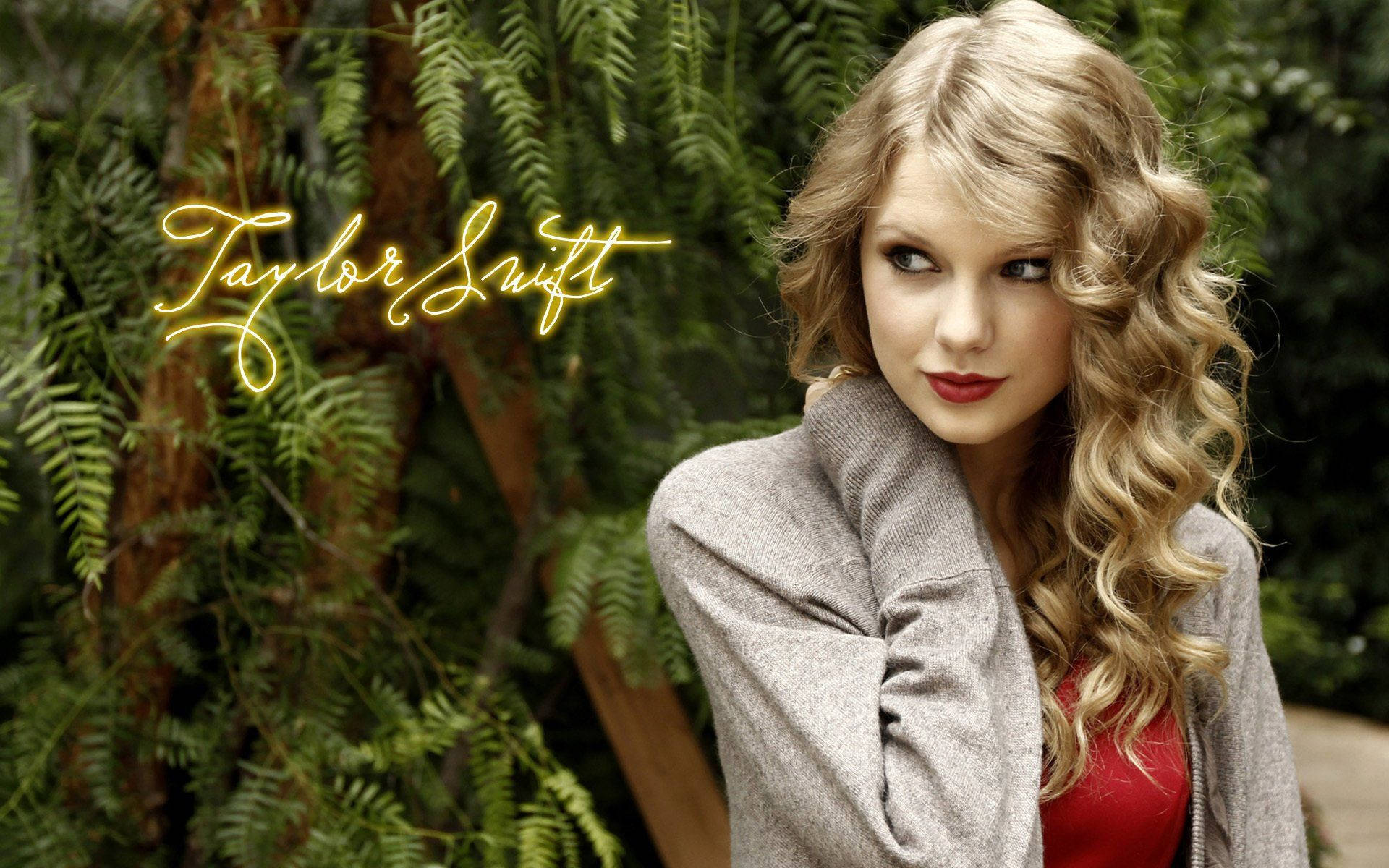 Taylor Swift Music Background