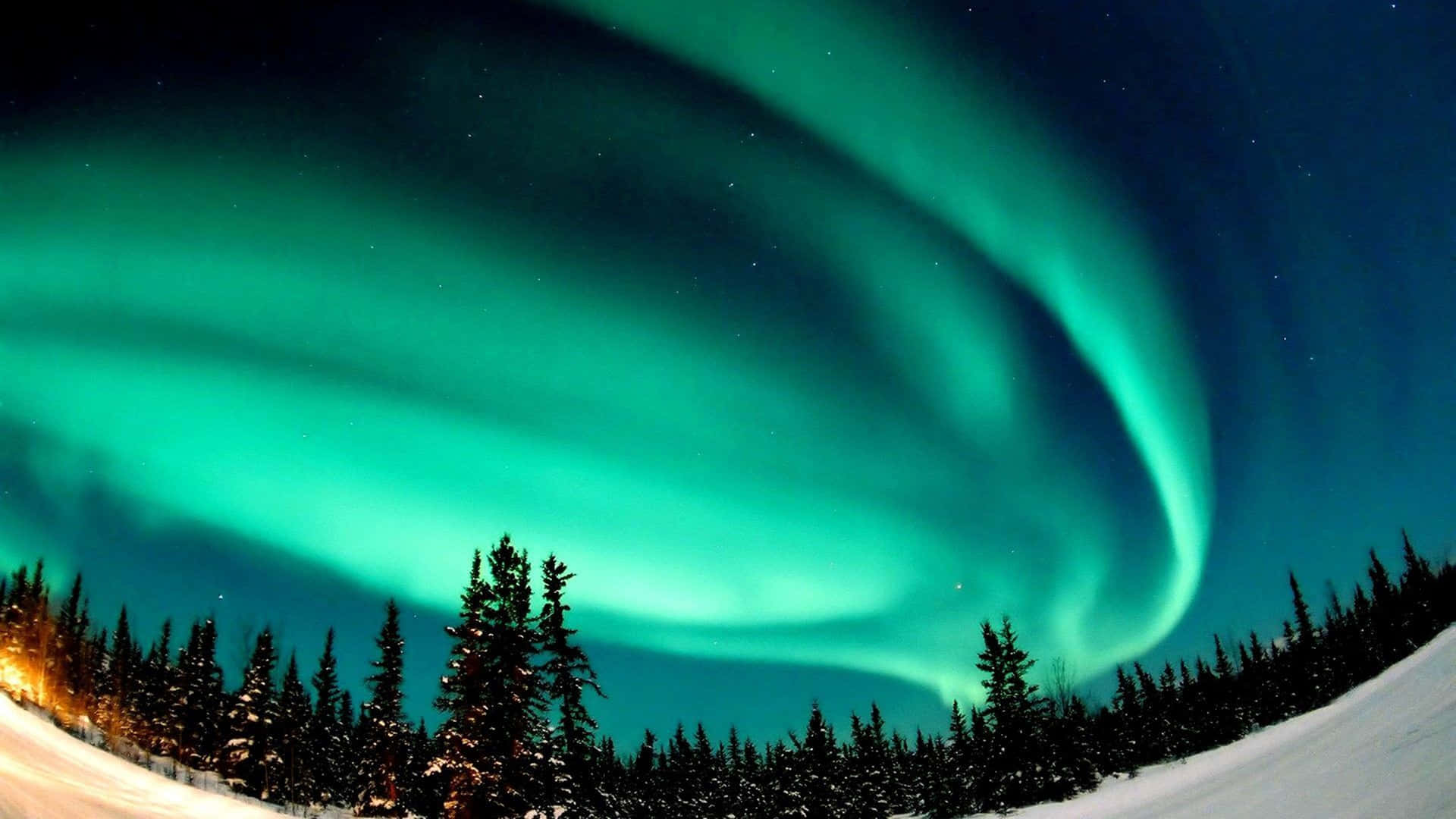 Teal Aurora Borealis Snow 4k Background