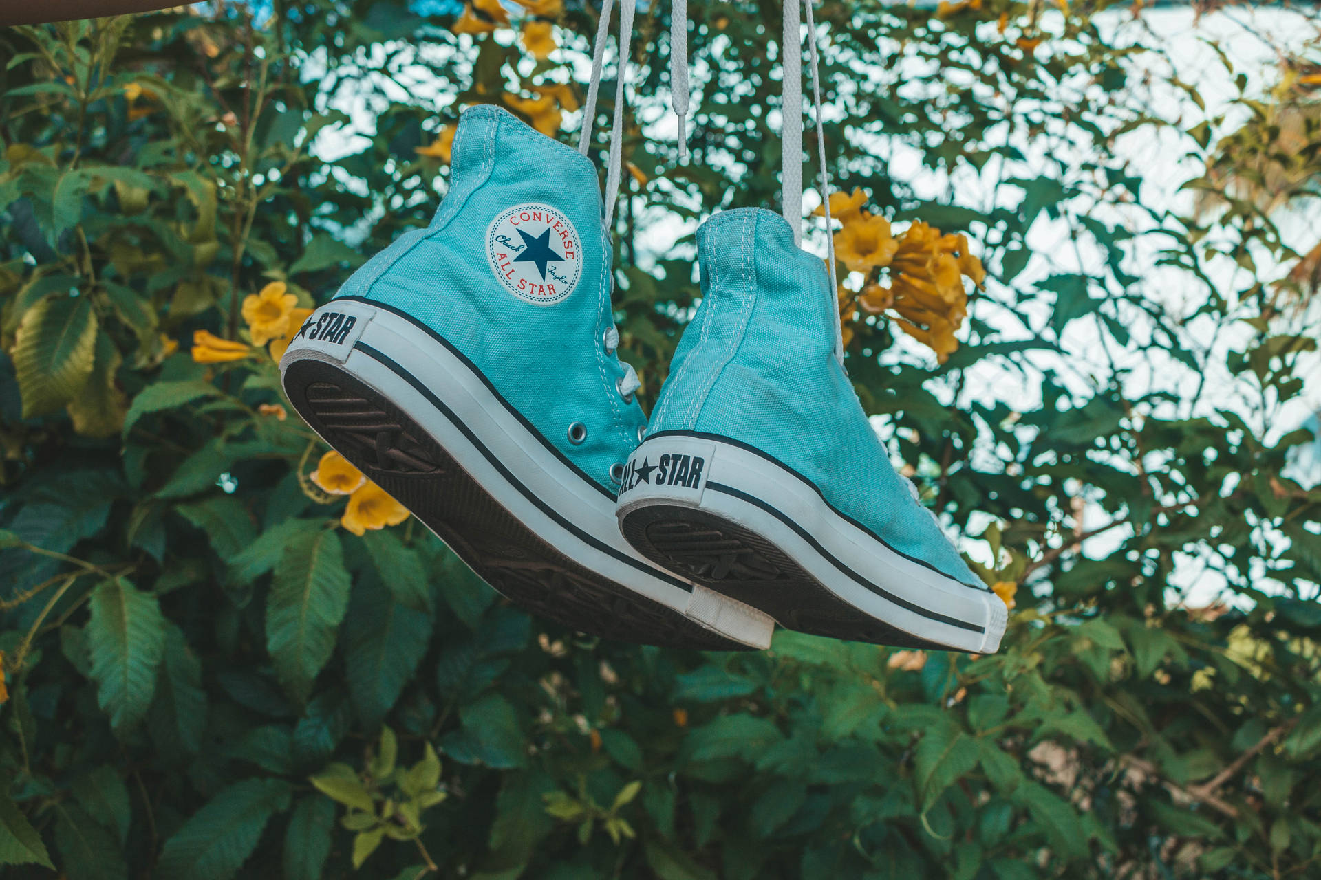 Teal Converse Hanging Background
