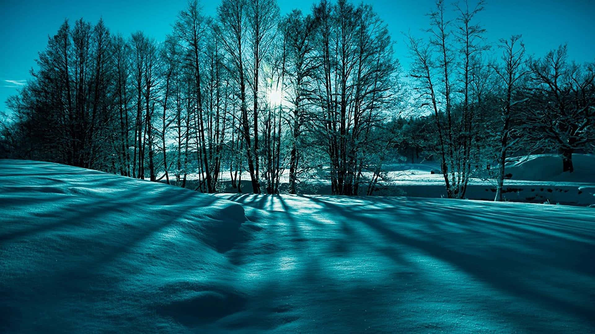 Teal Effect Winter Scenery Desktop Background