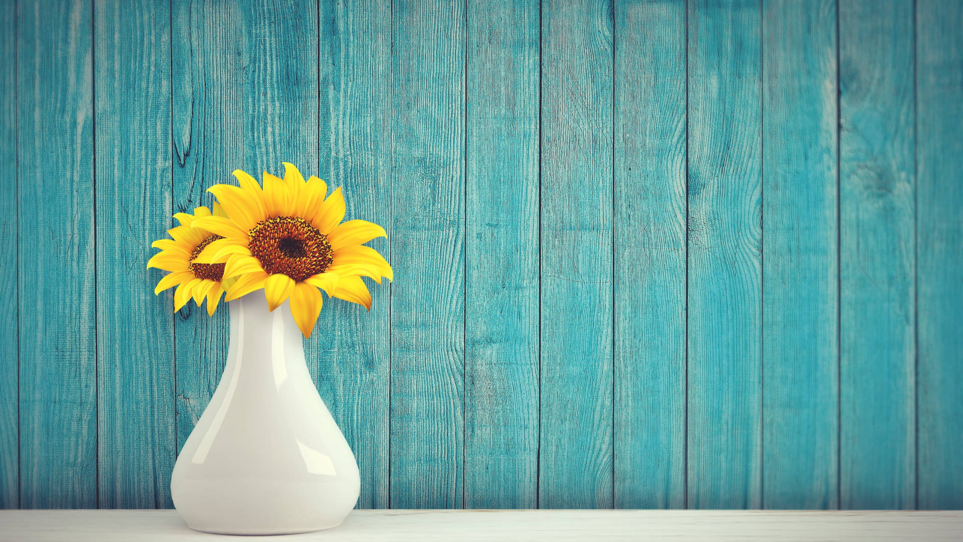 Teal Sunflower Laptop Background