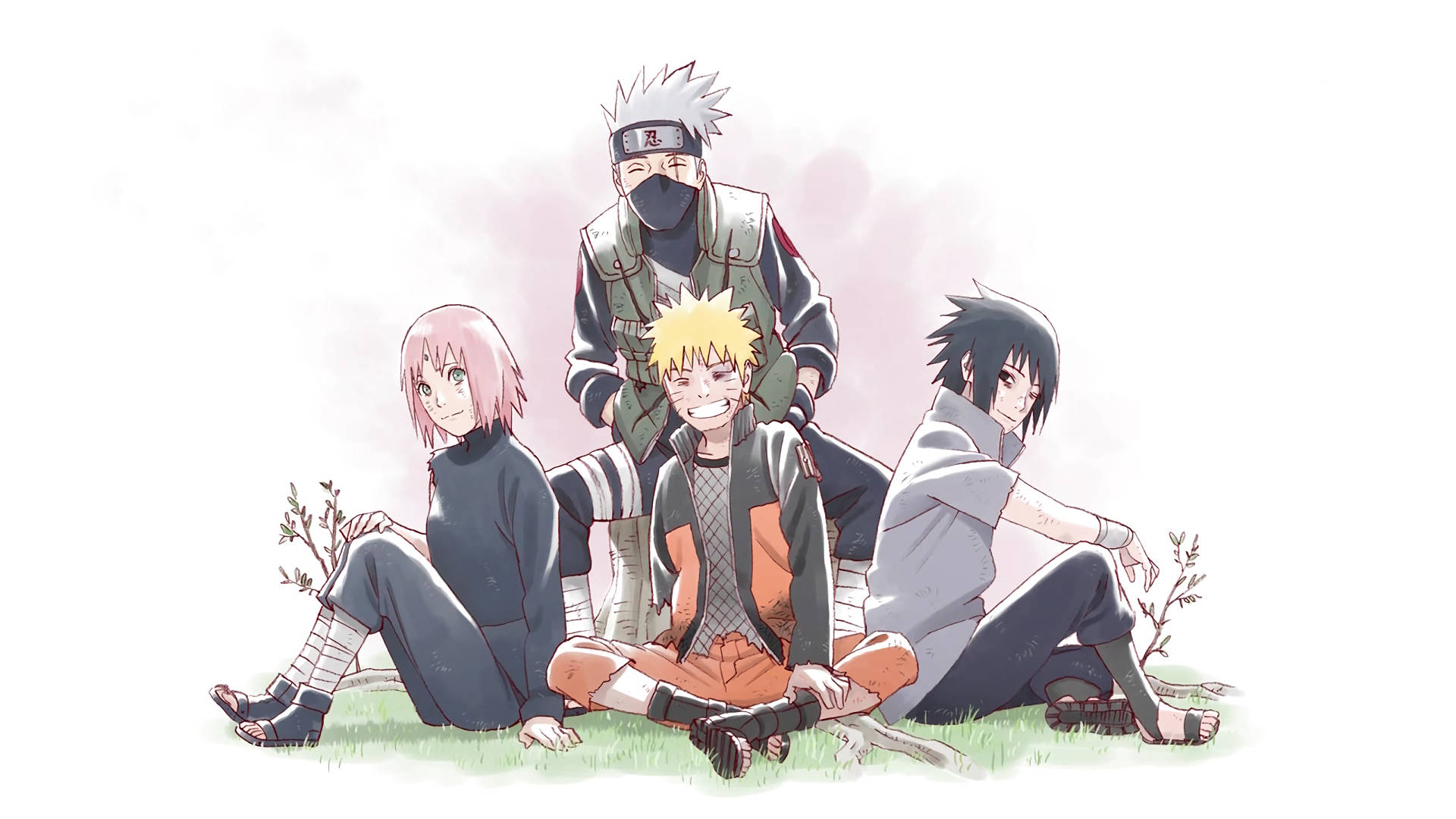 Team 7 Sitting On The Grass Background