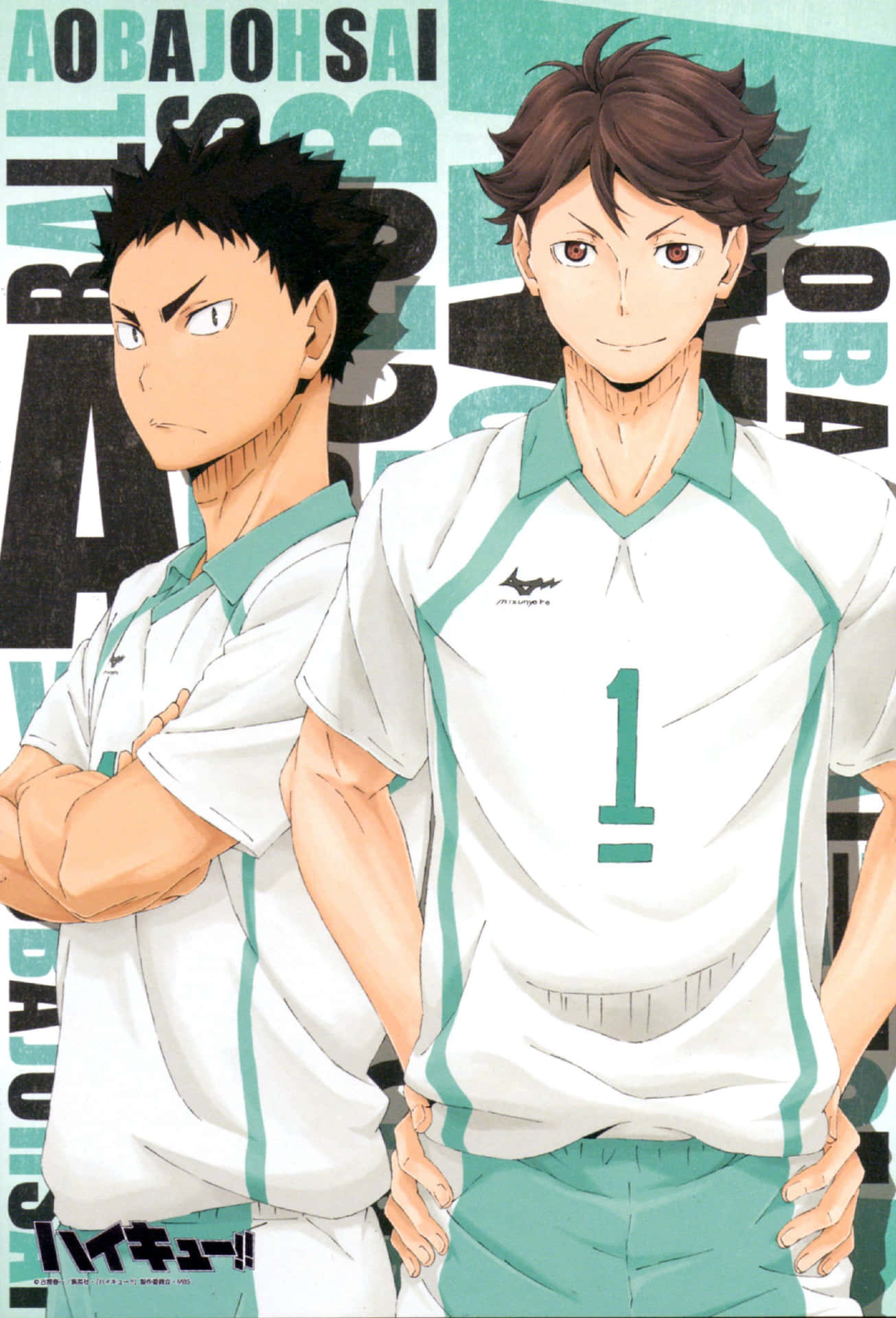 Team Aoba Johsai Oikawa And Iwaizumi Phone Background