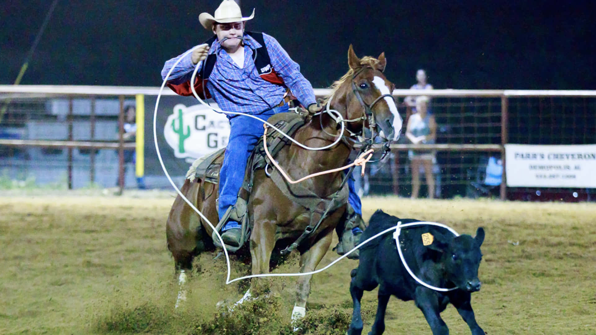 Team Roping A Black Calf