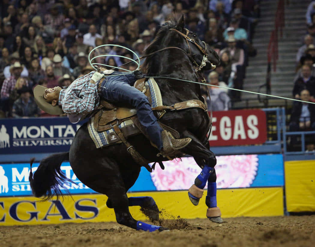 Team Roping And Maneuvering Background