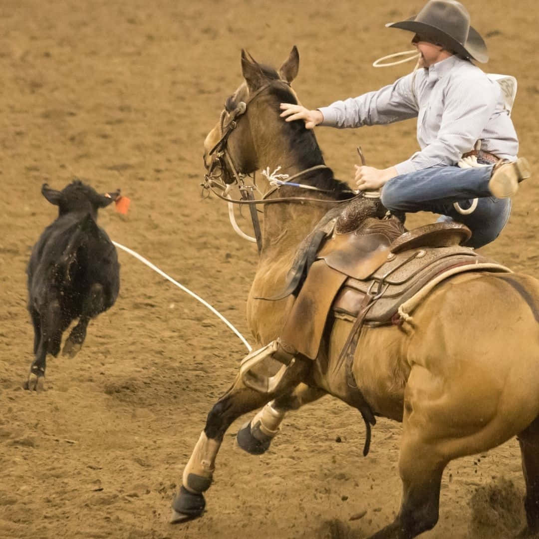 Team Roping Champions Work Together To Achieve Big Things Background