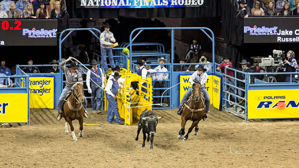 Team Roping Entrance Background