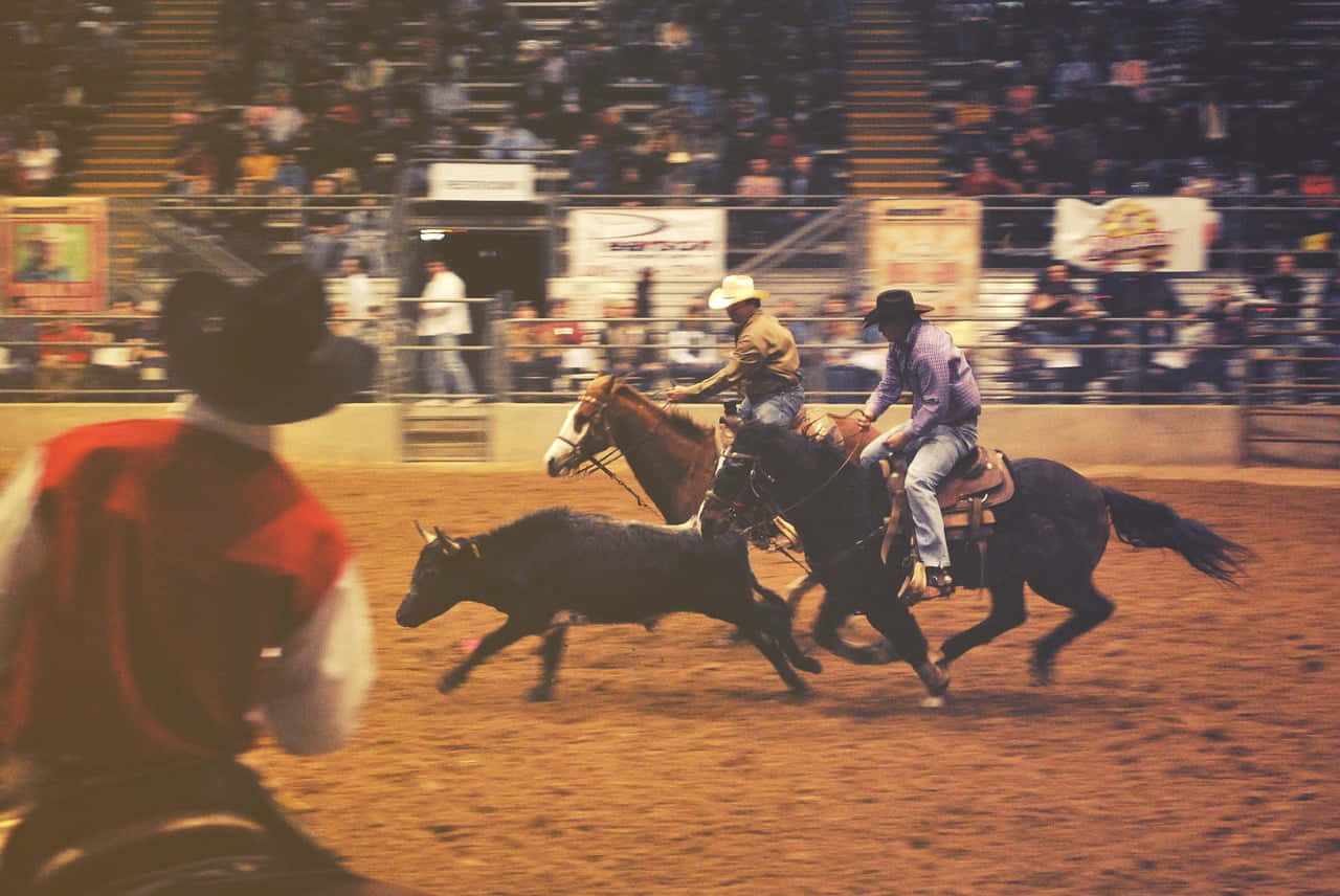 Team Roping Riding Horses Background