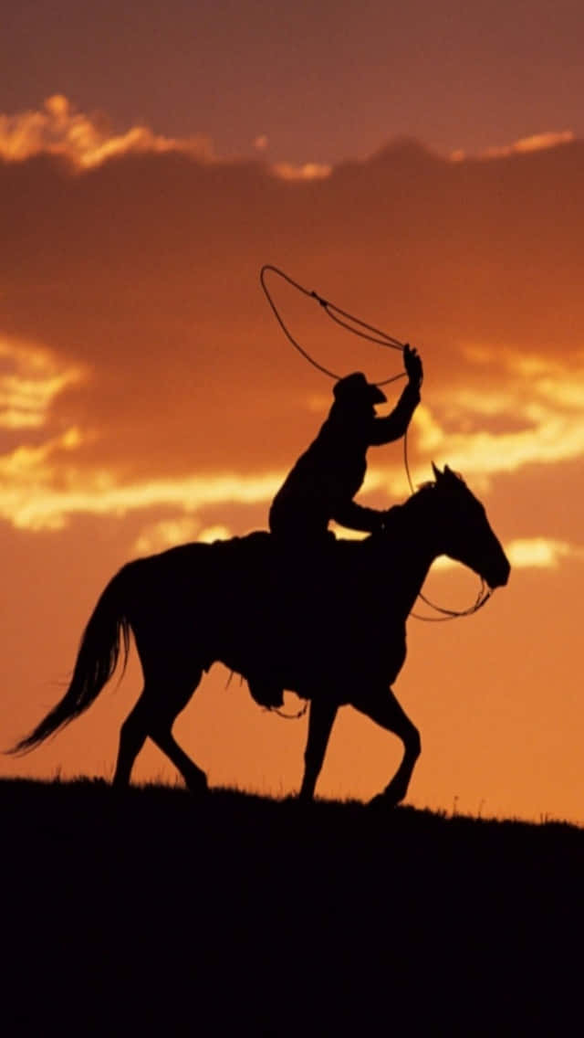 Team Roping Silhouette