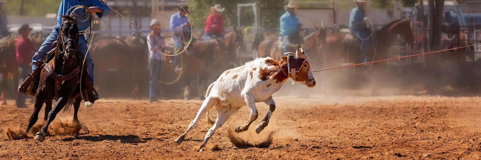 Team Roping: Testing Your Strength And Skills Background