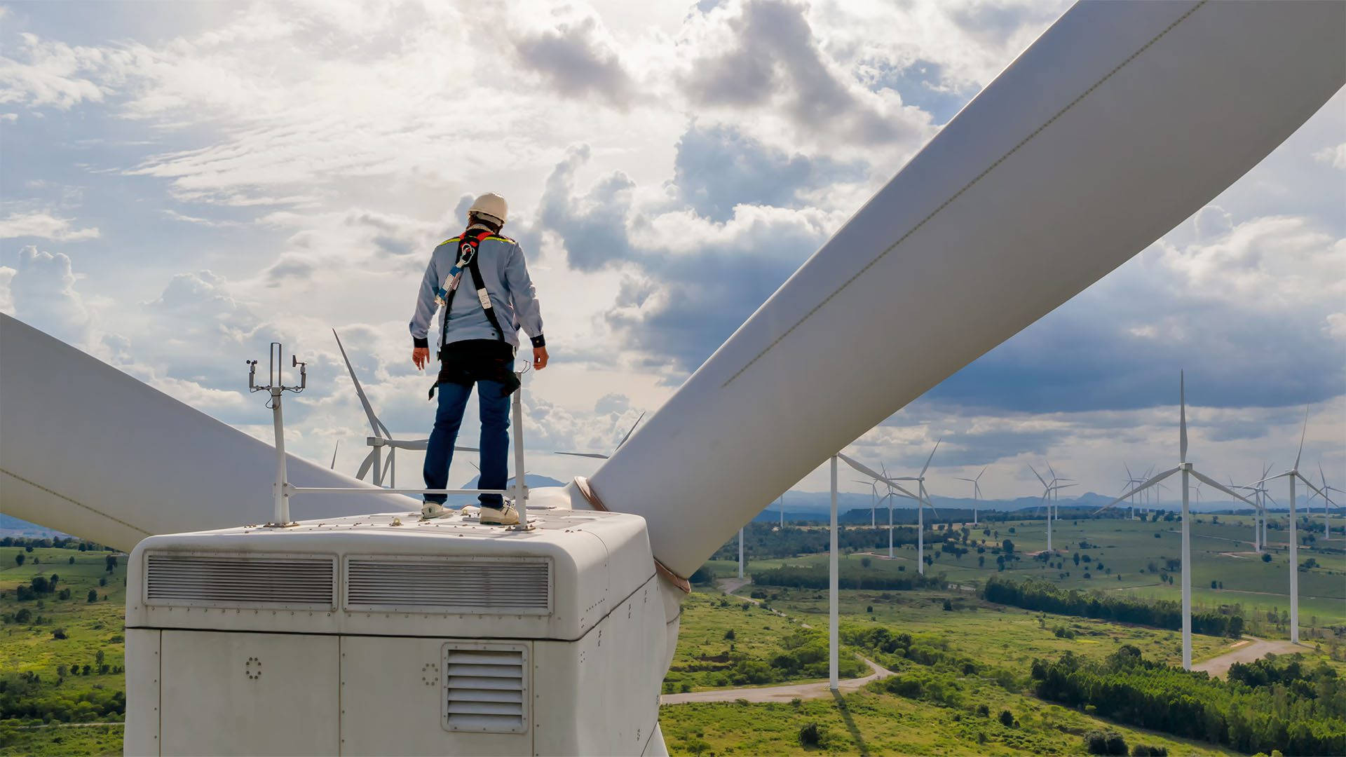 Technician Servicing Wind Turbine Background