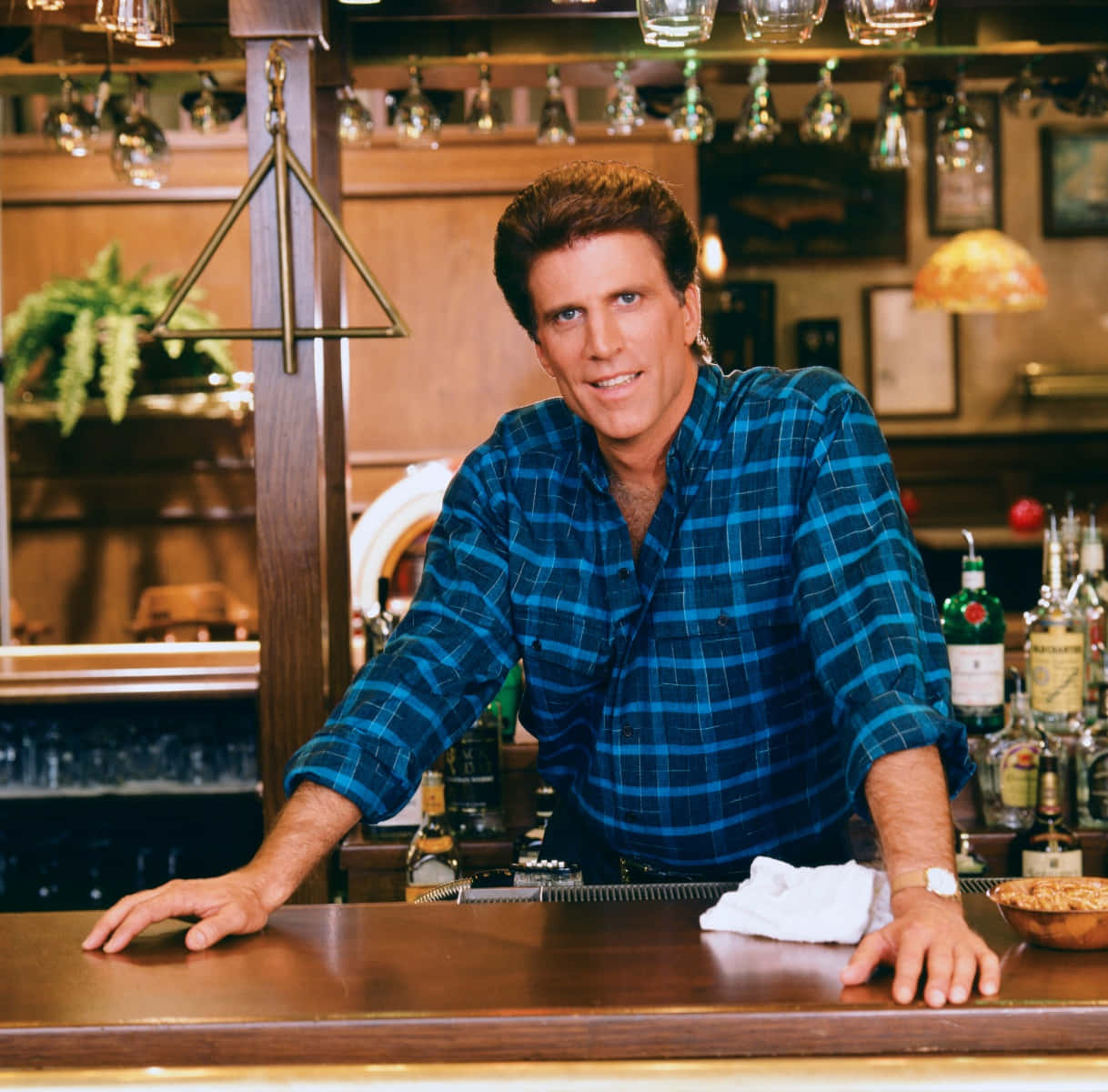 Ted Danson, Emmy Award-winning Actor Background