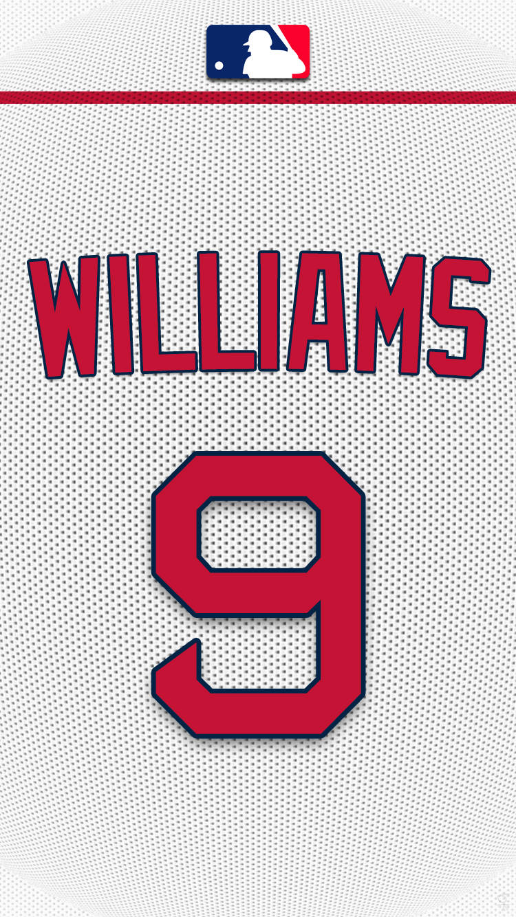 Ted Williams Official Jersey Background