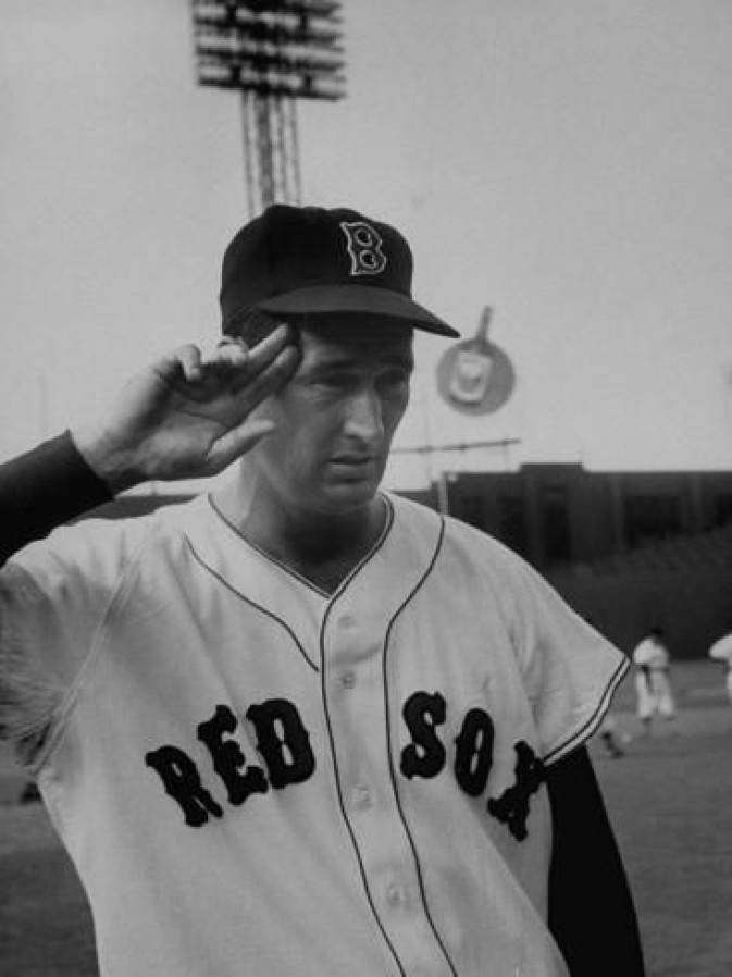 Ted Williams Sports Athlete