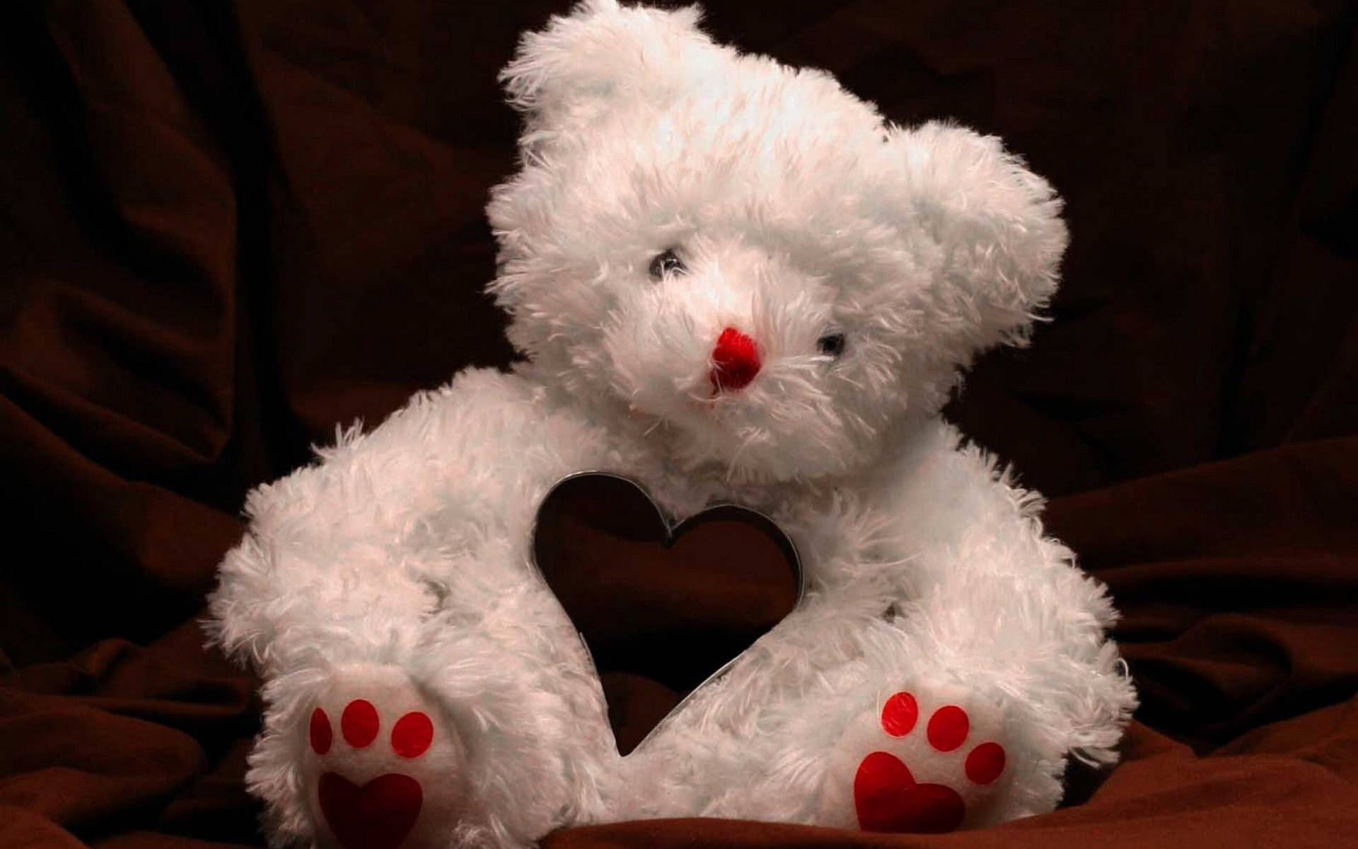 Teddy Bear Heart Chest Background