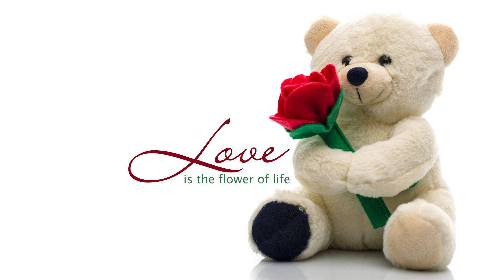 Teddy Bear With Flower Background