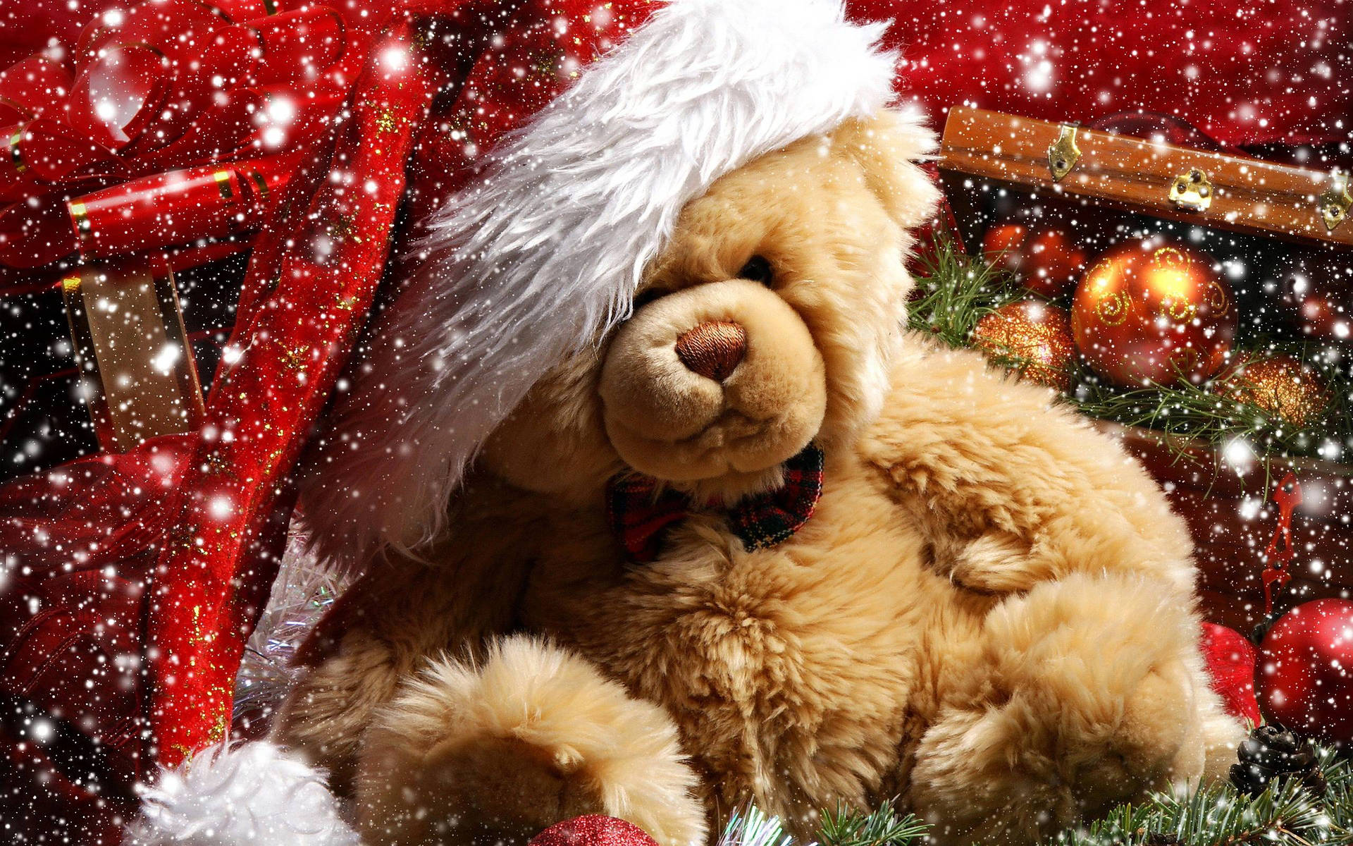 Teddy Bear With Hat Background