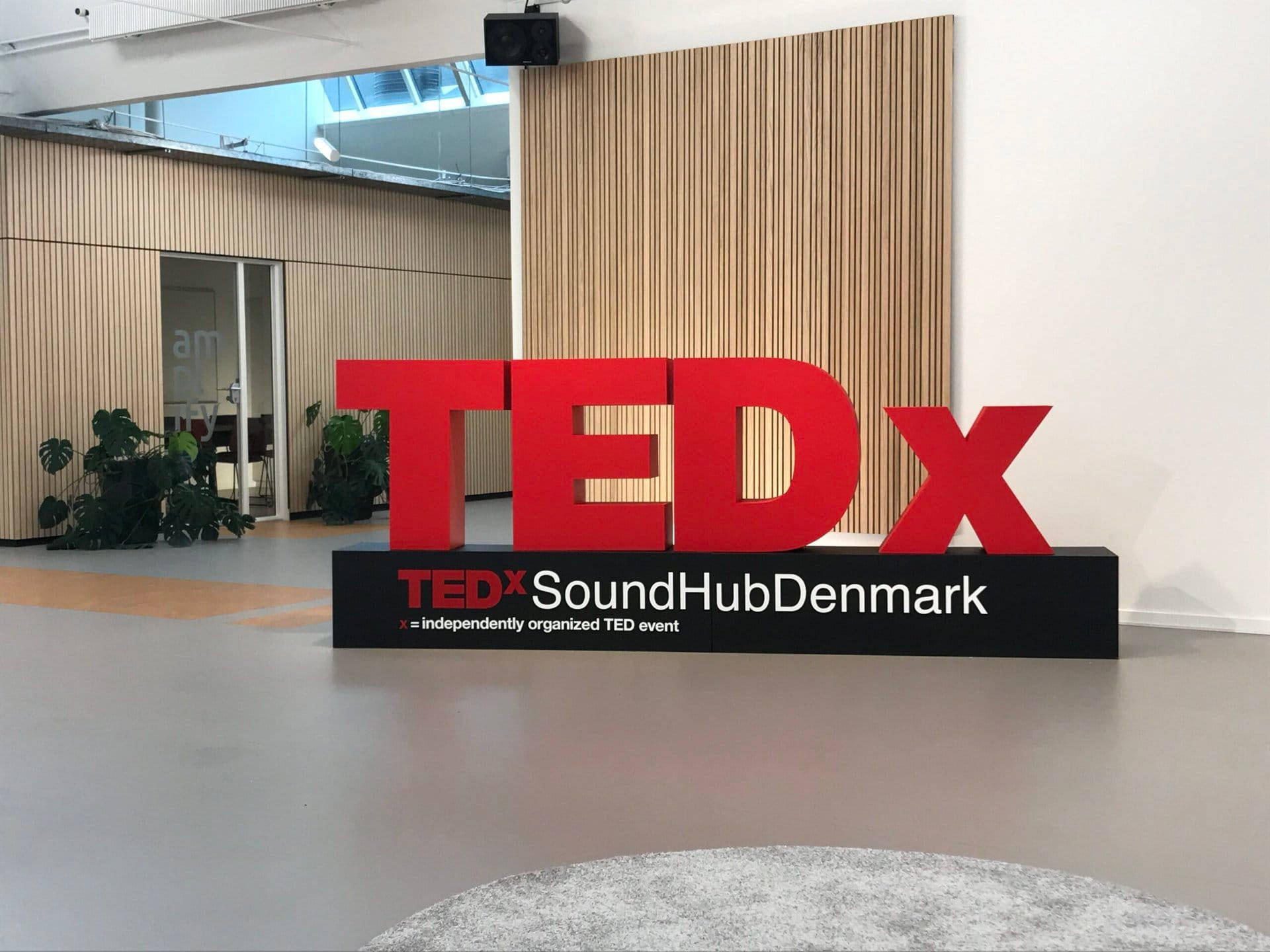 Tedx Talks Event In Denmark