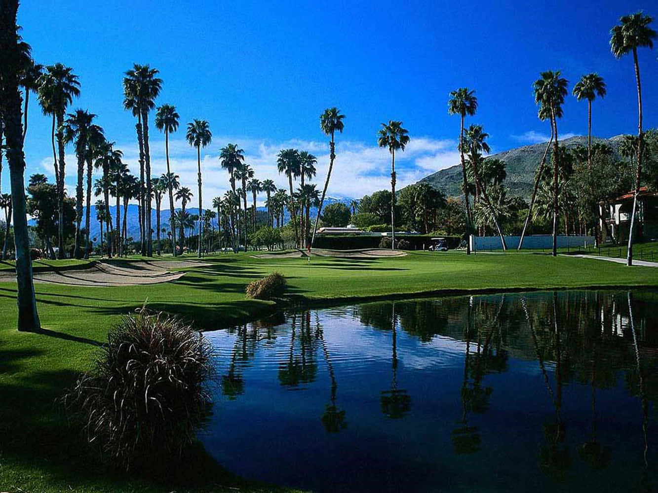 Tee Off At Awesome Golf Background